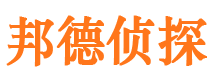 昌江县市调查公司